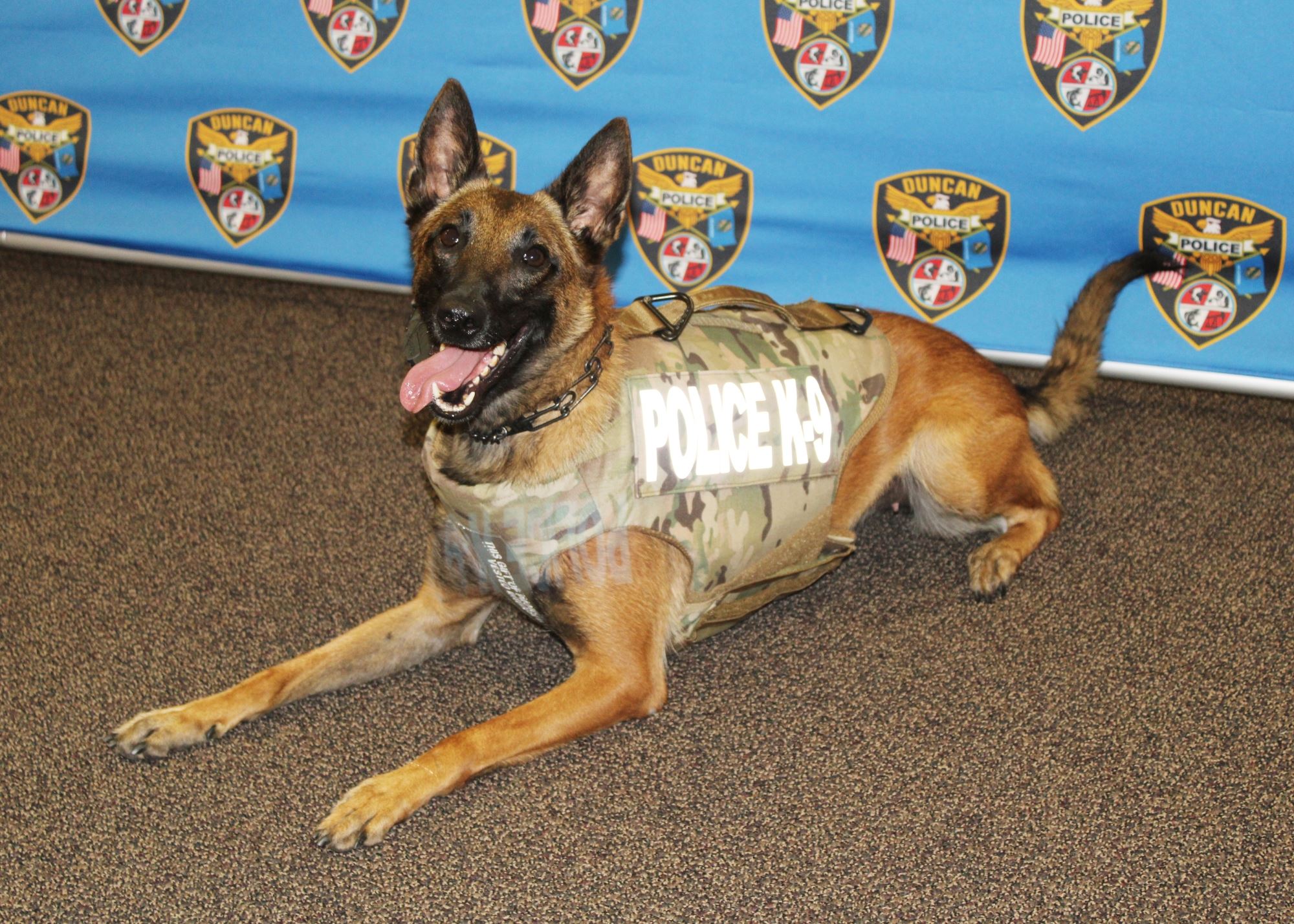 DPD K9 Blu Vest
