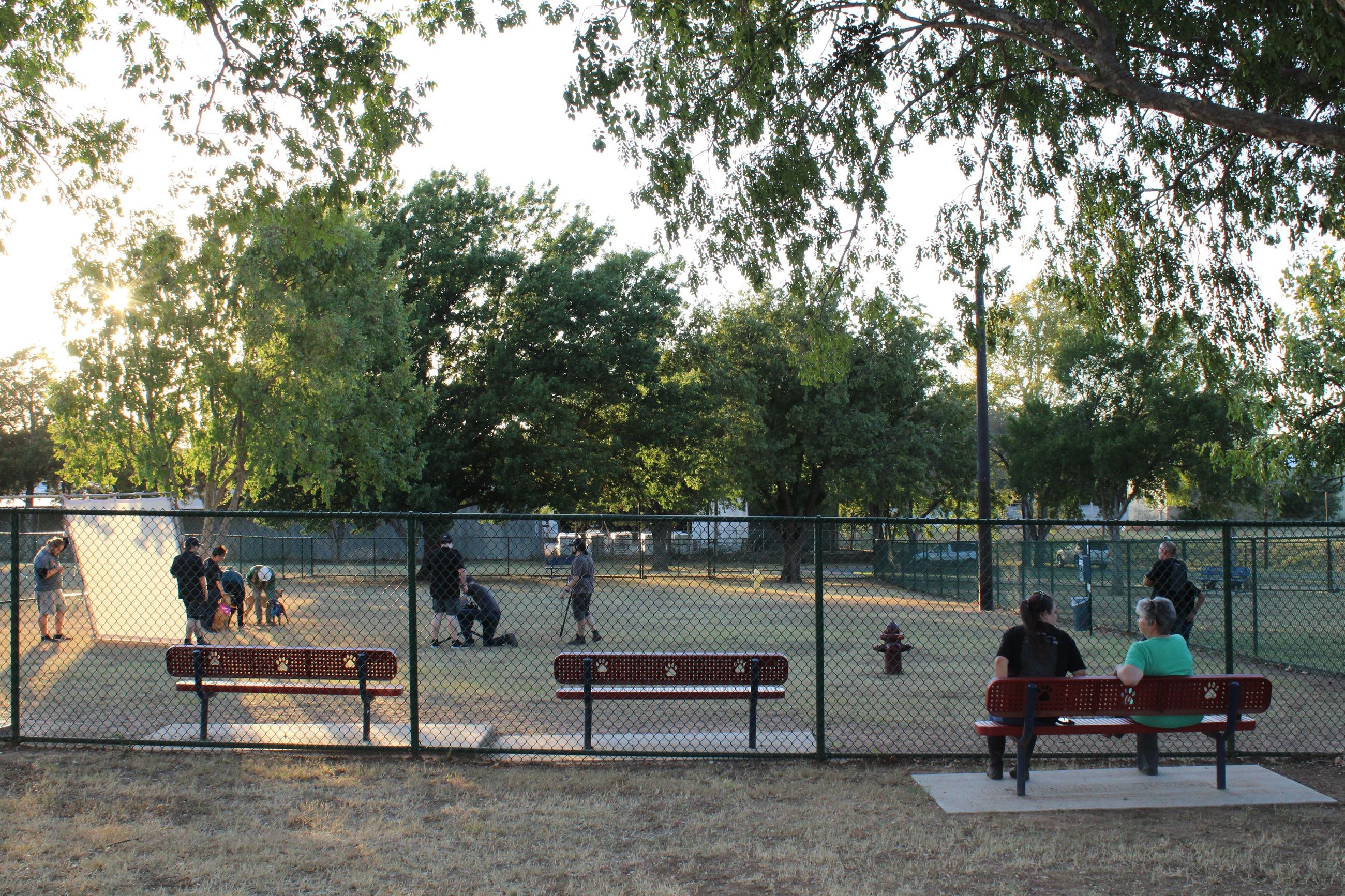 And action- Cast, crew, volunteers and pups at Dog Park
