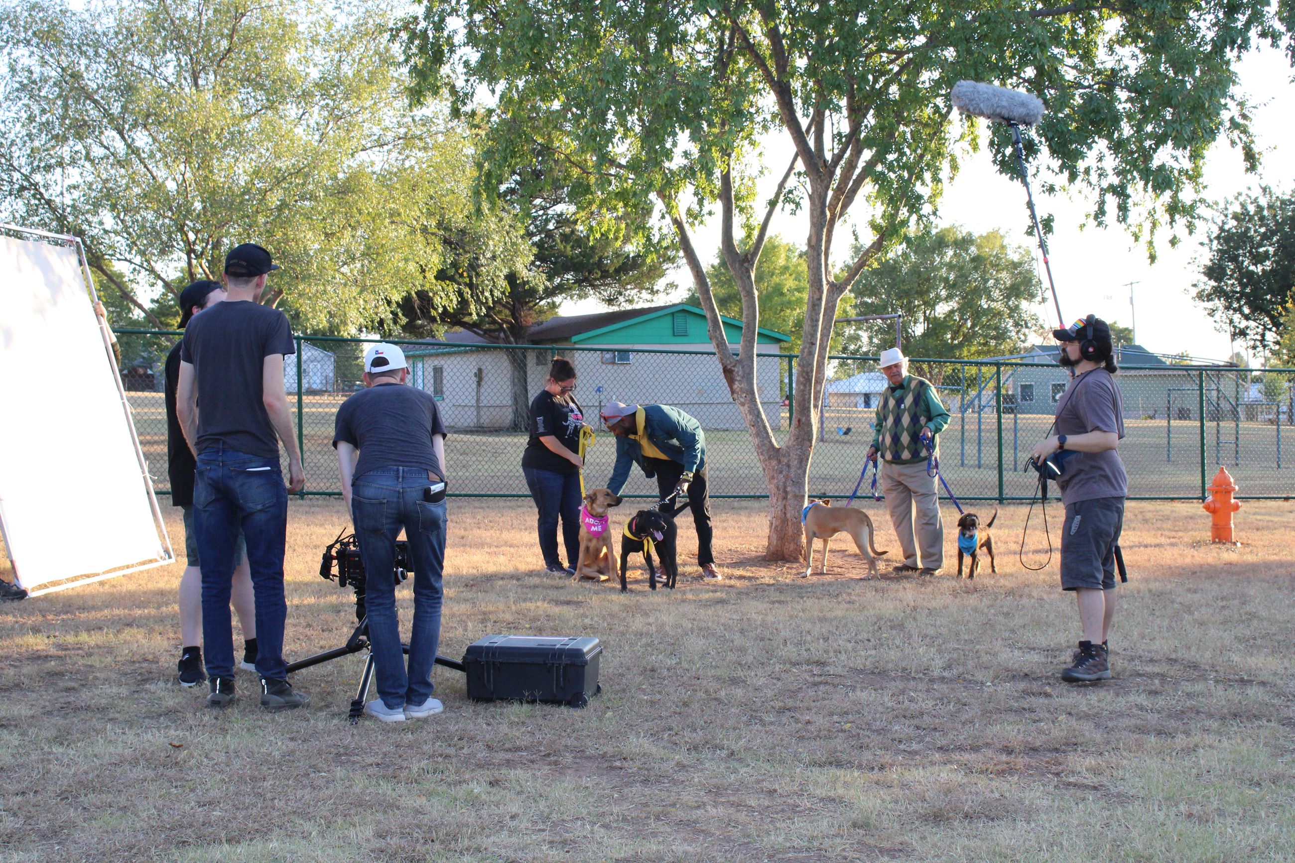 And action-Actors, crew and pups at dog park